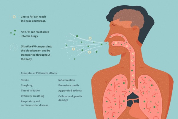 Figure 2: Health effects of particles